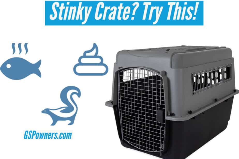 get-rid-of-dog-crate-odor