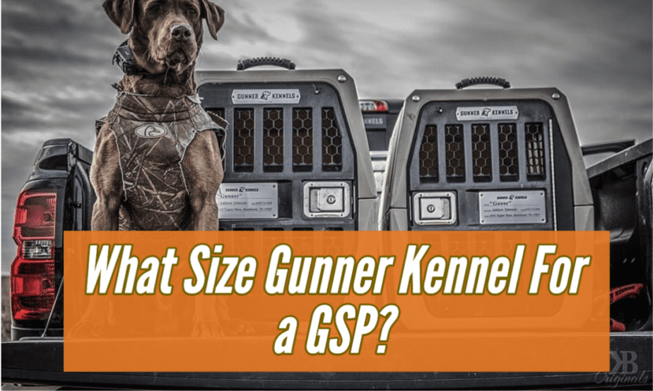 what-size-gunner-kennel-for-gsp